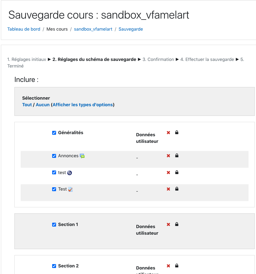 Choix des éléments à sauvegarder
