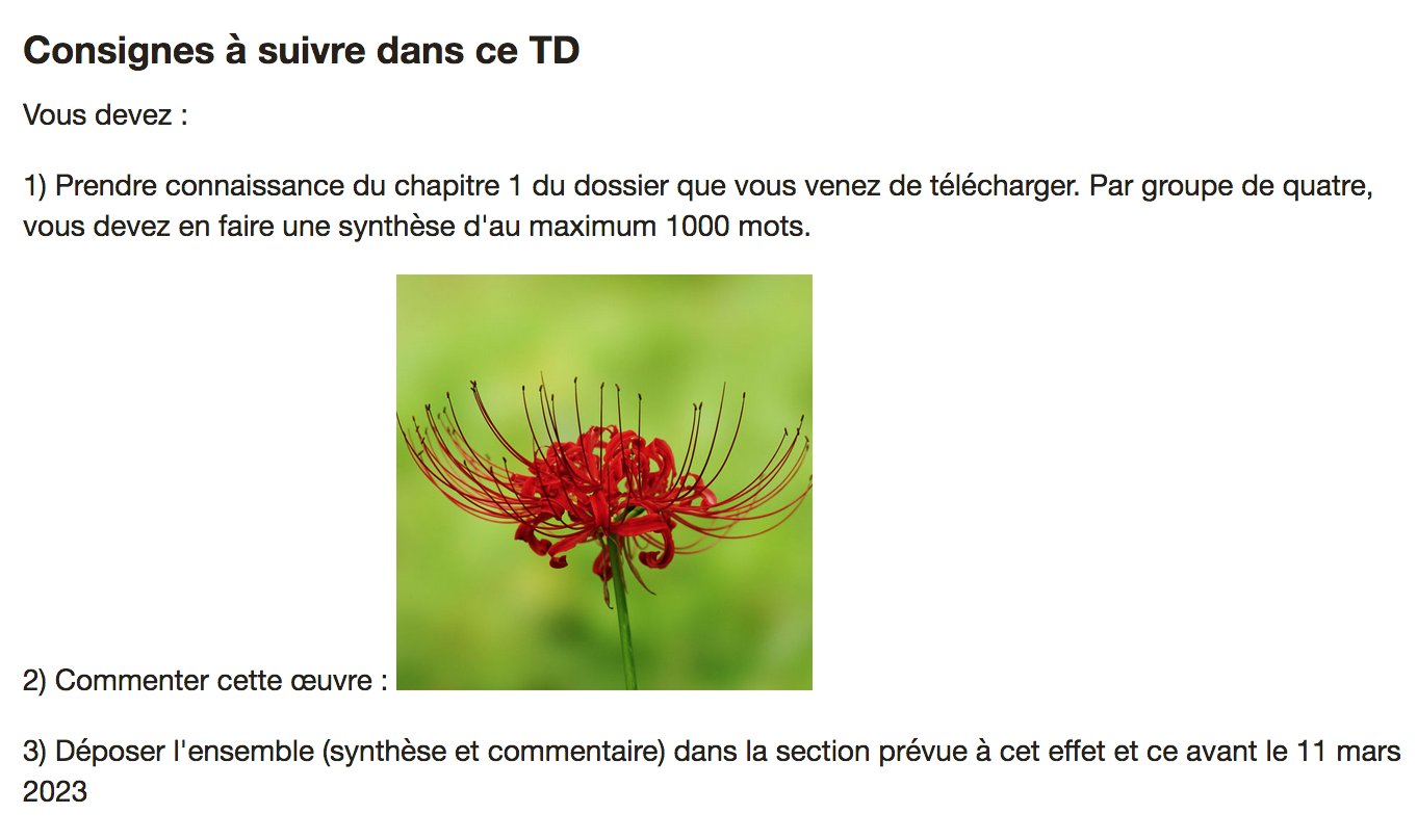 L'image montre la photo de l'écran affichant le contenu du ressource Page dans laquelle il y a du texte et une image.
