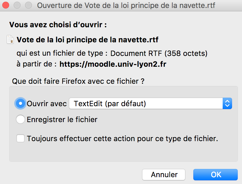 L'image montre la boîte de dialogue pour téléchargement obtenue après avoir cliqué sur le nom du fichier remis