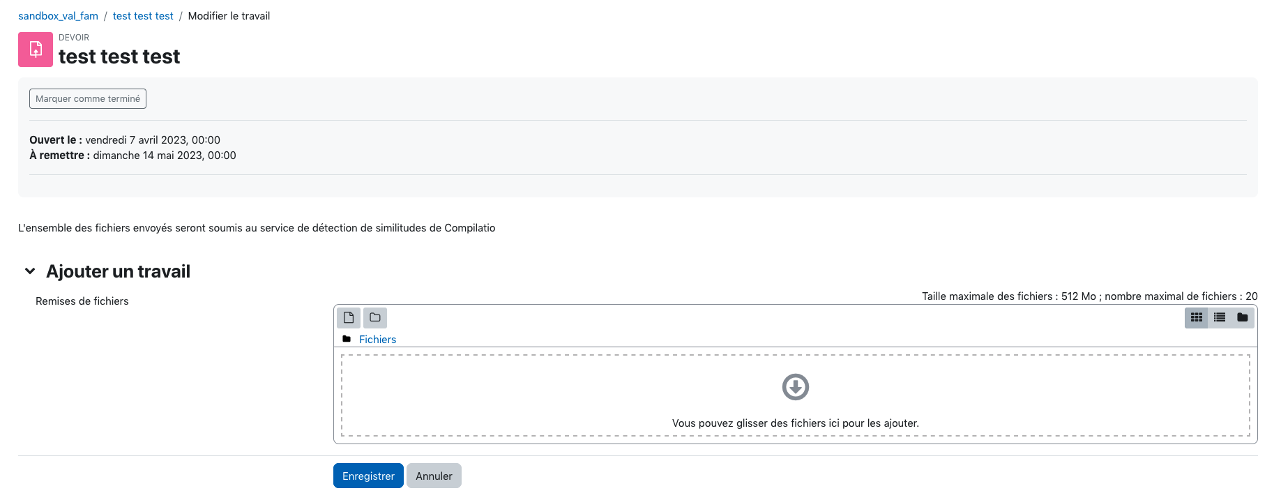 L'image montre la boîte de dépôt des devoirs proposée par Moodle