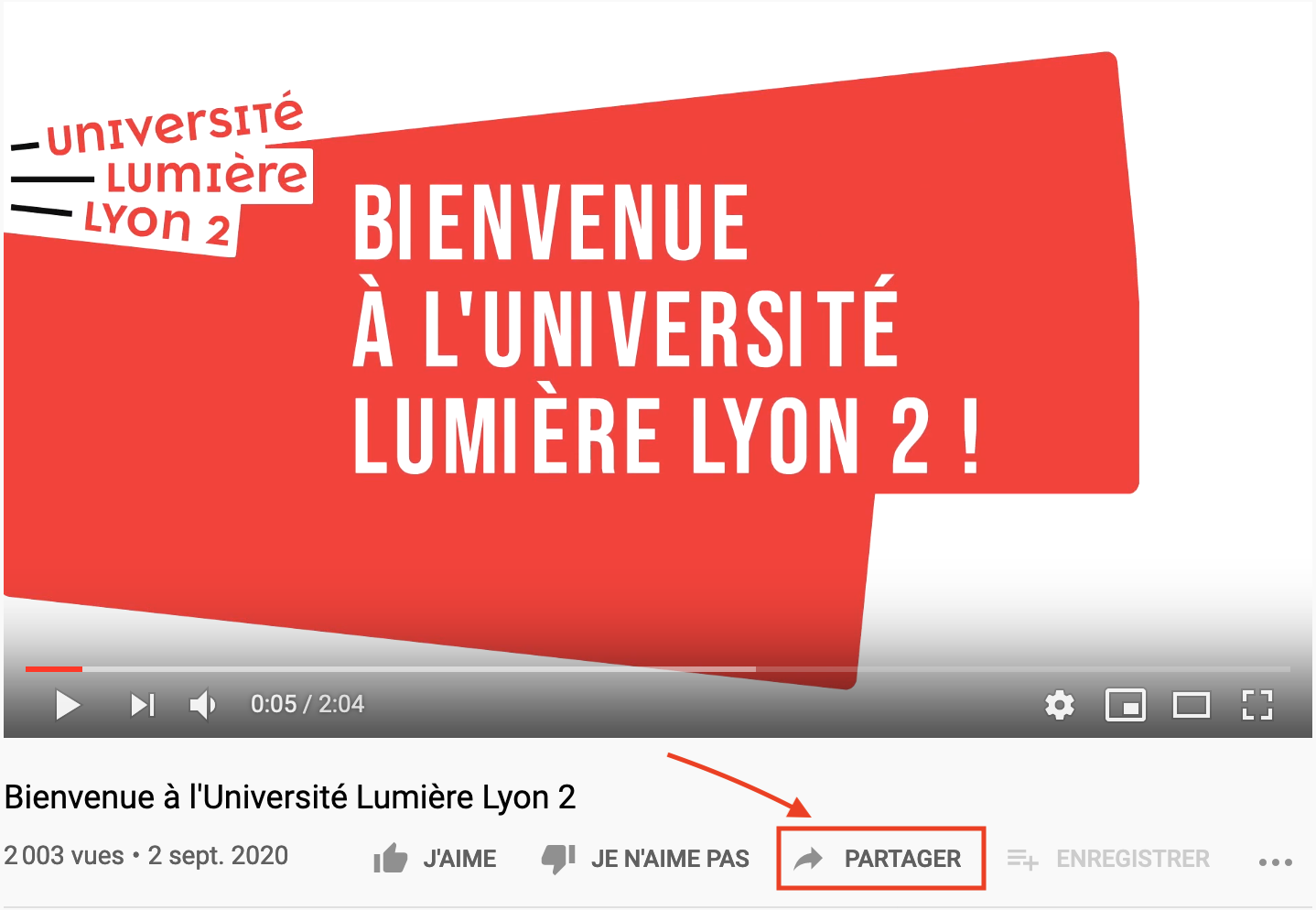 Copie d'écran du lecteur Youtube, le bouton partager en-dessous est encadré en rouge