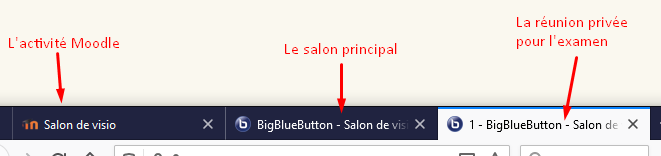 Les trois onglets utilisés dans une réunion privée : l'activité sur Moodle, le salon principal et le salon privé