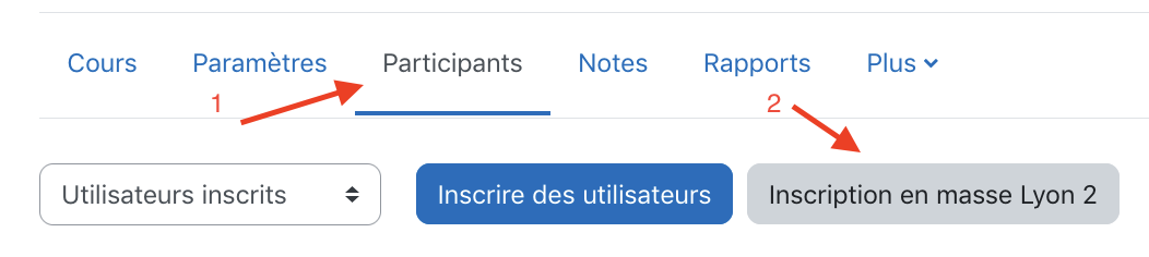 Capture d'écran pointant sur le bouton Participants puis sur le bouton Inscription en masse Lyon 2
