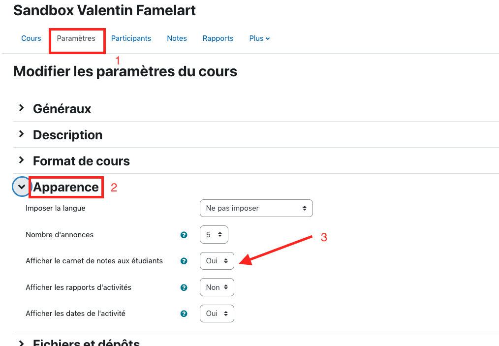 Paramètres d'un cours Moodle, la section Apparence est mise en valeur
