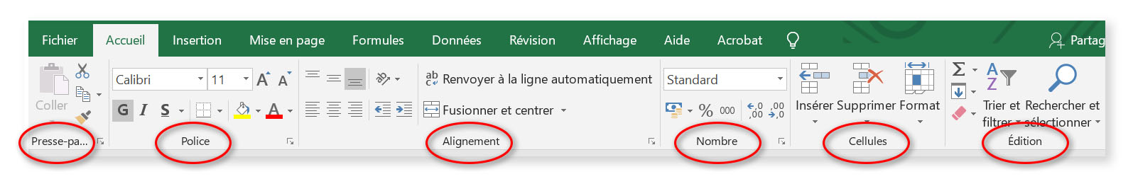 Capture d'écran montrant un Zoom sur le Ruban Accueil avec l'icône "Police", "Presse-papiers", "Alignement", "Nombre" etc