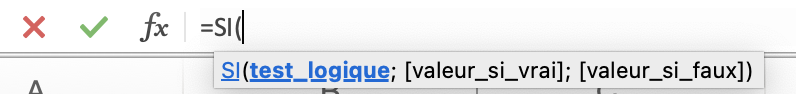 Illustration d'une fonction conditionnelle saisie dans Excel