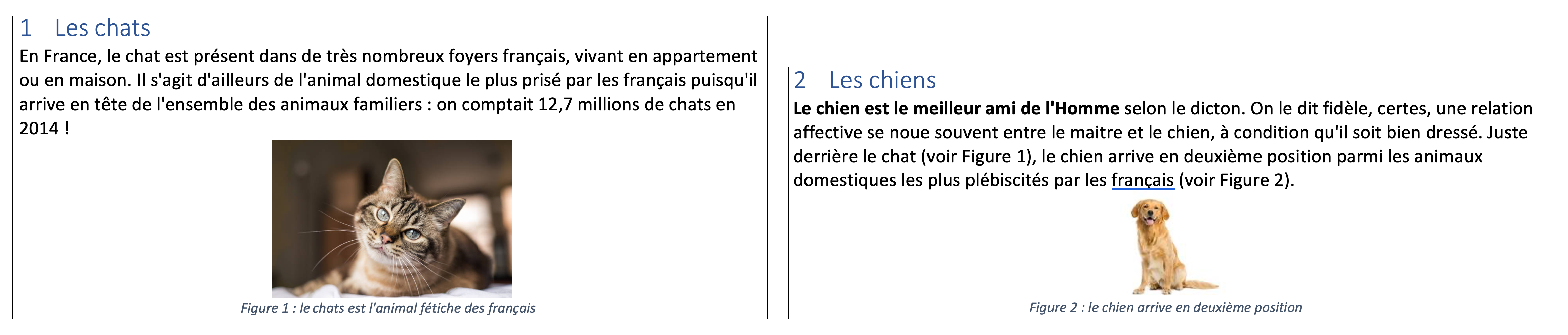 Capture d'écran attendu de l'exercice. Photo de chat et de chien avec leur légende sous chacun des textes