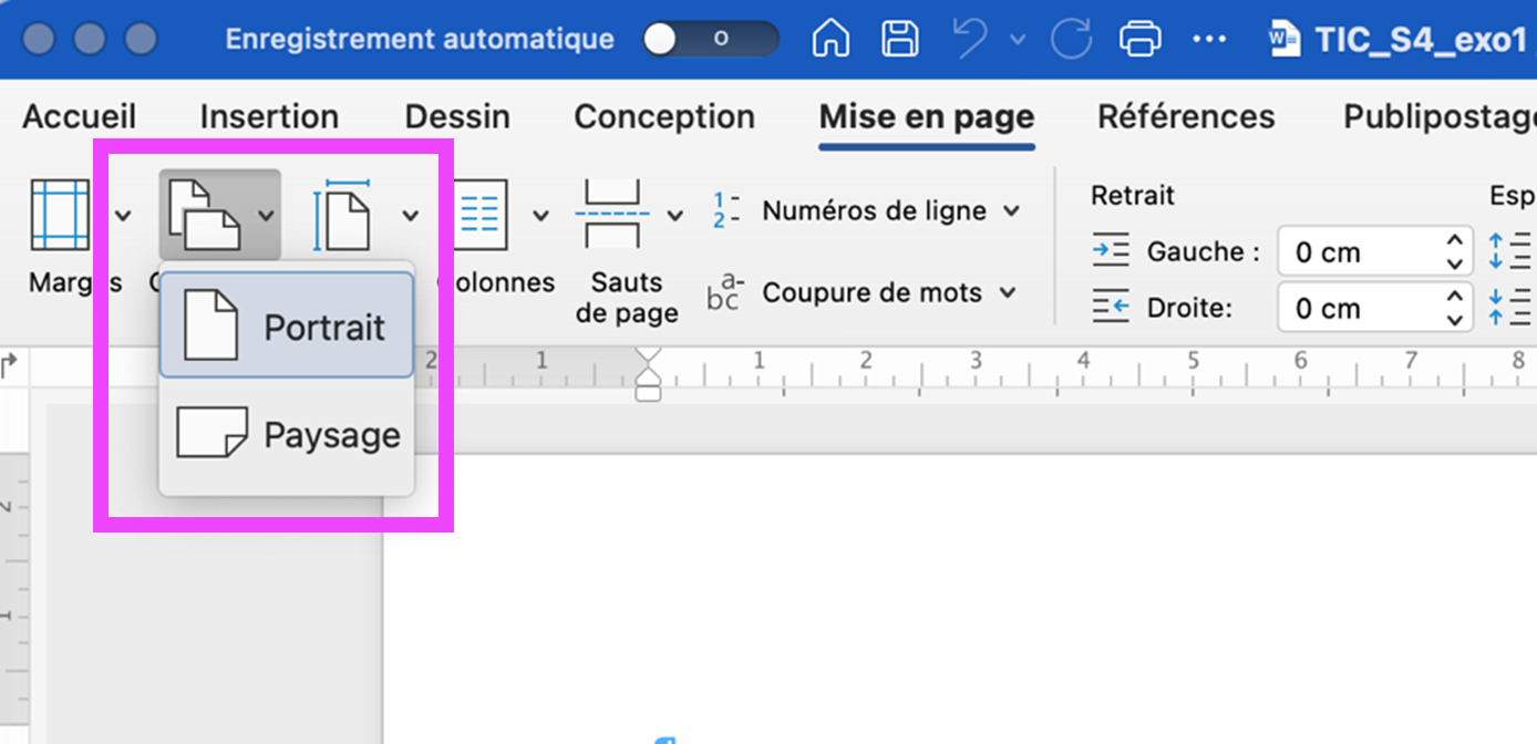 Capture d'écran, montrant comment changer l'orientation des pages du document, dans l'onglet "Mise en page" de l'accueil.