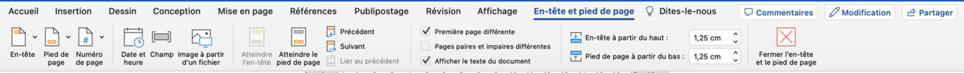 Capture d'écran montrant l'onglet "En-tête et pied de page"