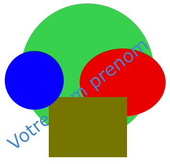Image attendue de l'exercice avec superposition des formes
