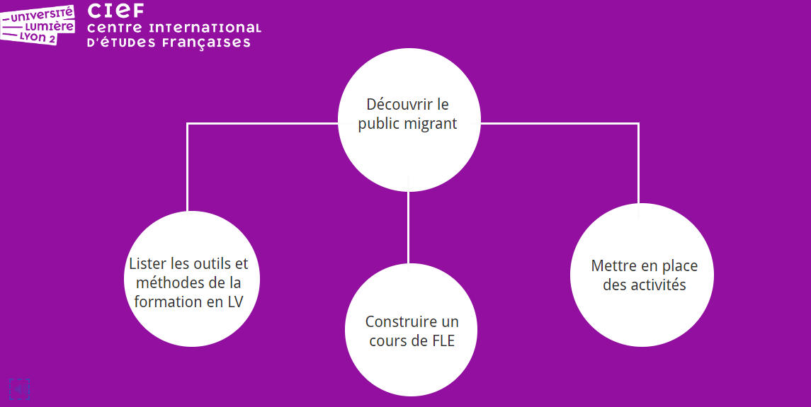 Arborescence des modules, le module "découvrir le public migrant" est central, c'est celui dont découle les 3 autres.