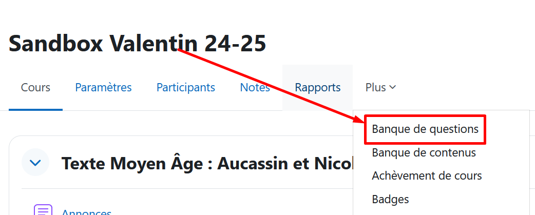 Copie d'écran d'un cours Moodle, le menu Plus est déroulé et une flèche pointe vers le lien Banque de question