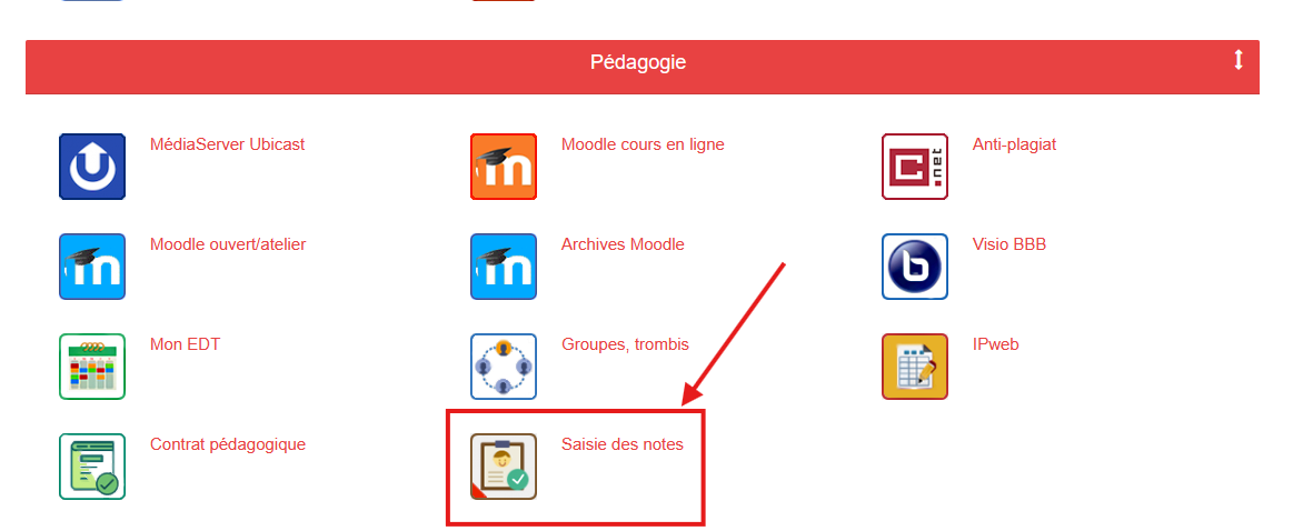 Capture d'écran des Applis Lyon 2, le dernier élément de la section Pédagogie, Saisie des notes, est mis en valeur