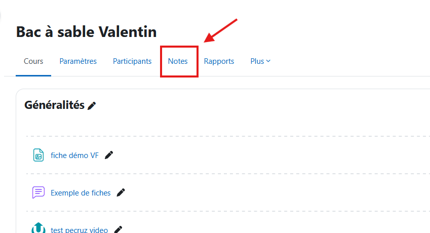 Le bouton Notes se situe entre les boutons Participants et Rapports, dans le menu principal du cours